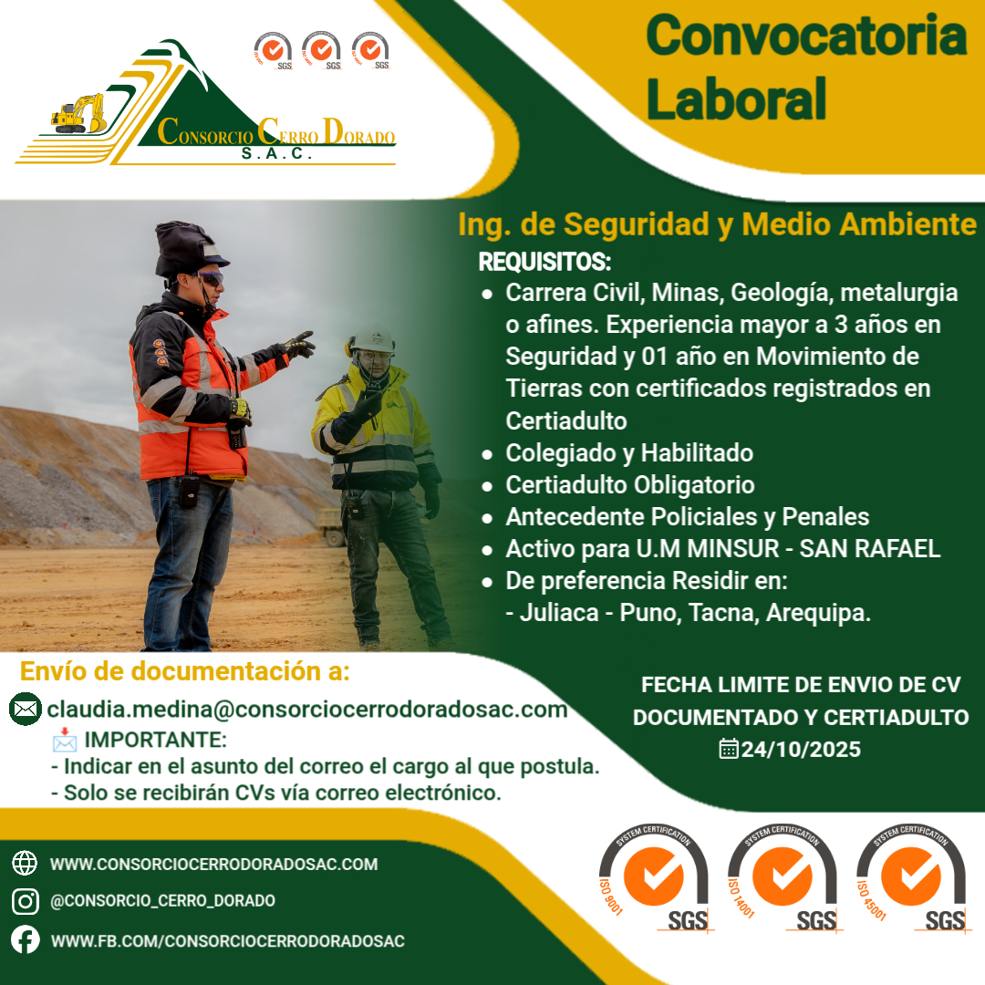 ING. DE SEGURIDAD Y MEDIO AMBIENTE